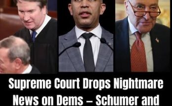 Main image related to At least nineteen and perhaps more Democratic-held congressional