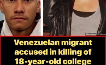 Police investigate Chicago lakefront shooting scene