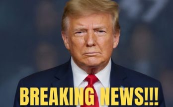 Main image related to A routine stop at a U.S.