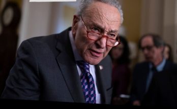 Old video surfaces showing schumer arguing for voter news update a video circa 1996