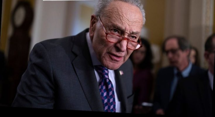 Old video surfaces showing schumer arguing for voter news update a video circa 1996